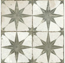 Kakel med stjärnmönster för golv och vägg