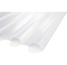 Profilerad plastskiva