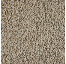 Strukturerad matta med kort, tät lugg och neutralt utseende.