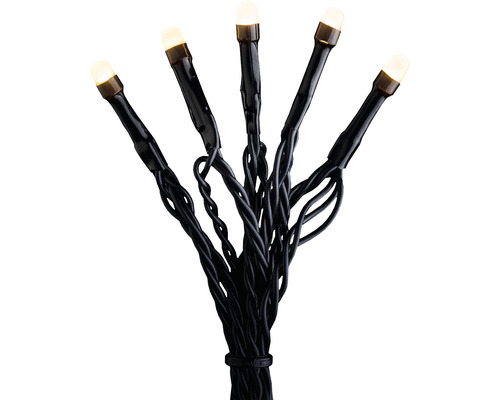 LED-ljusslinga med varmvita ljus och svart kabel