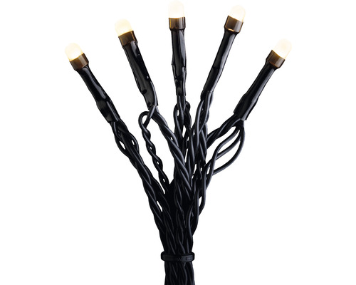 LED-ljusslinga med varmvita ljus och svart kabel