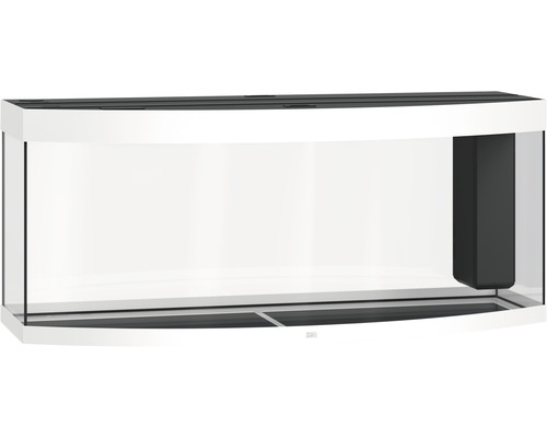 Tomt akvarium med böjd glasfront