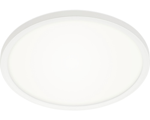Oval taklampa