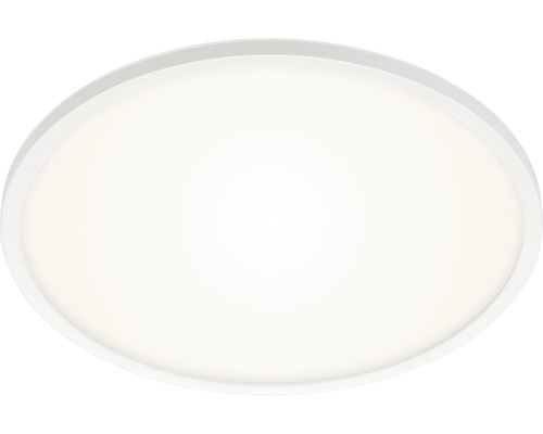 Oval taklampa
