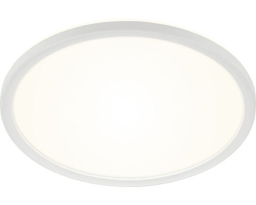 Oval LED taklampa