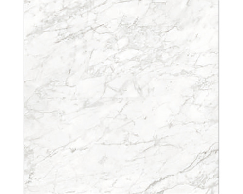 Klinker Marble Carrara polerad 60x60cm Marmorstruktur
