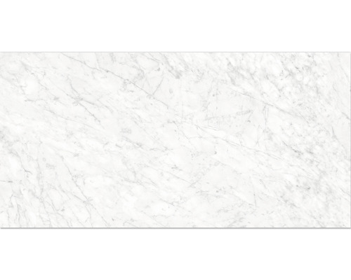 Klinker Marble Carrara polerad 30x60cm