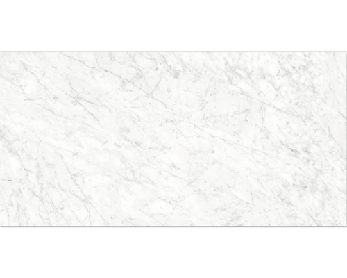 Klinker Marble Carrara matt 30x60cm