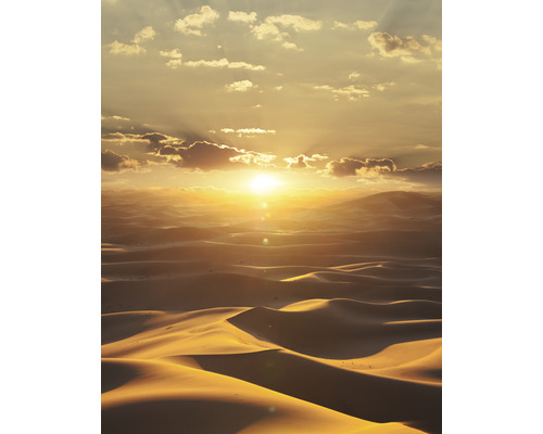 Fototapet MARBURG Dune DD Illustration brun orange gul 4 delar 270x212cm 32545