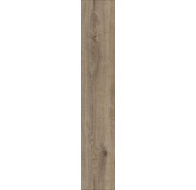 Laminatgolv KRONOTEX Exquisit Plus Kashmir titan ek