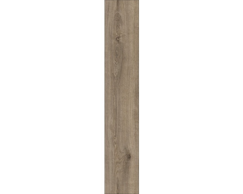 Träplatta med trästruktur