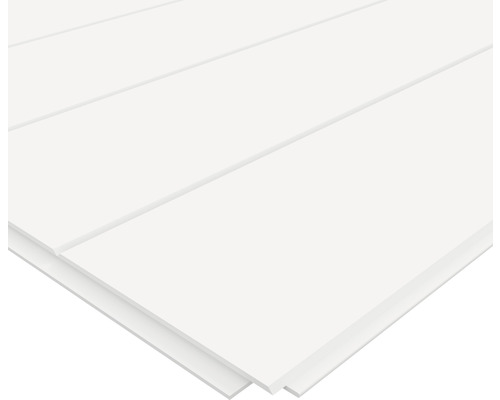 Takpanel MOELVEN Regina Linje Dekor vit 6x405x2435mm Spontat trä
