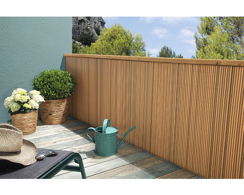 Balkongscen med bambustängsel, växter och vattenkanna