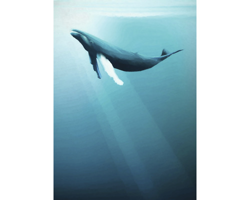 Fototapet KOMAR Humpback Whale blå IAX4-0045