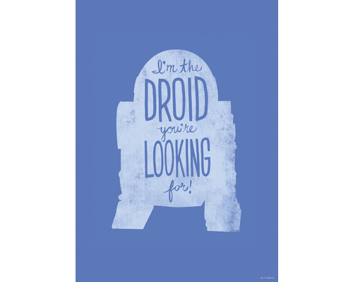 Poster KOMAR Star Wars R2D2 40x50cm -022
