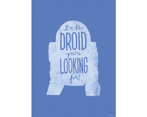 Poster KOMAR Star Wars R2D2 50x70cm -022