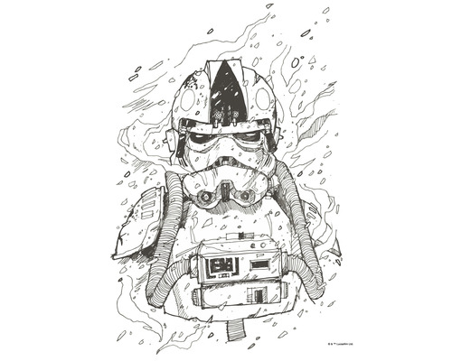 Poster KOMAR Star Wars Pilot Drawing 40x50cm