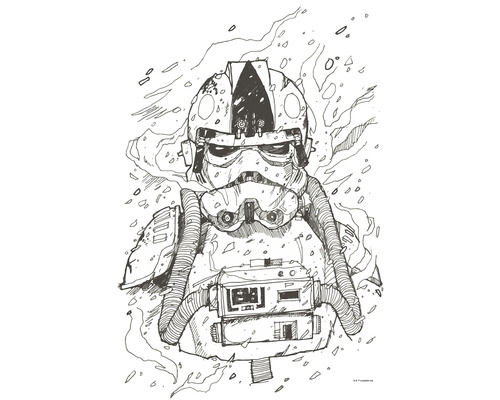 Poster KOMAR Star Wars Pilot Drawing 50x70cm