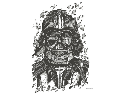 Poster KOMAR Star Wars Darth Vader 40x50cm