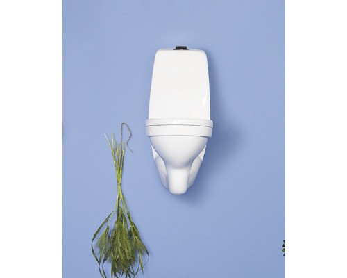 Vägghängd toalettstol med spolcistern mot färgad bakgrund