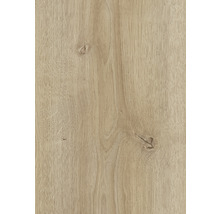 Provbit: Laminatgolv KAINDL MasterFloor Aqua Cordoba ek