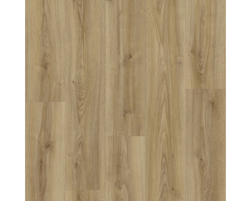 Laminatgolv 8.0 mf aqua oak cordova elegante