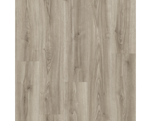 Laminatgolv 8.0 mf aqua oak cordova moderno