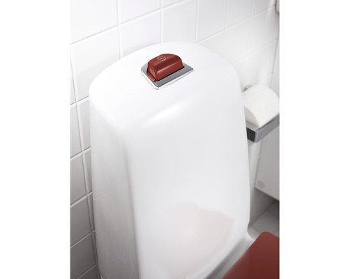 Närbild av en toalett med spolknapp