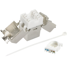 Keystone-modul med buntband och färgkod