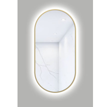 Oval spegel med belysning för badrummet