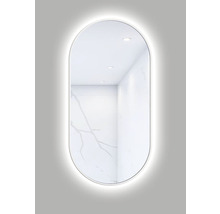 Oval spegel med LED-belysning för badrum