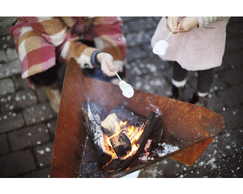 Eldstad med marshmallows på pinne över elden