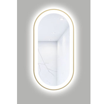 Oval spegel med LED-belysning för badrum