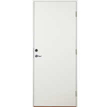 Vit innerdörr med dörrhandtag och gångjärn