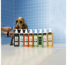 En rad Dogman Pals & Fjun hundschampon av olika sorter står i badrummet bredvid en hund som badas.