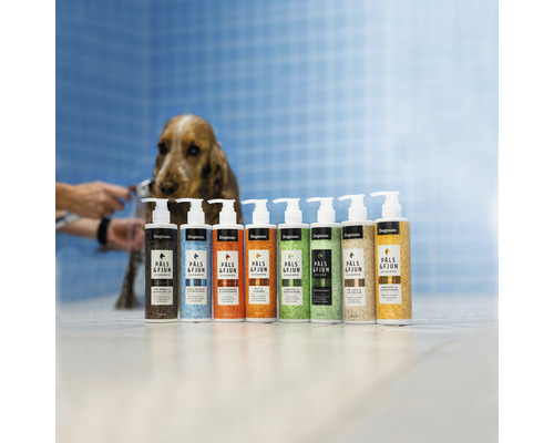 En rad Dogman Pals & Fjun hundschampon av olika sorter står i badrummet bredvid en hund som badas.