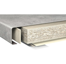 Tvärsnitt av en bänkskiva