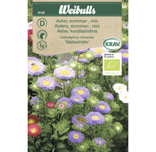 Weibulls Aster sommarmix blomfröförpackning