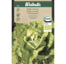 Weibulls Sallad ''Victoria'' fröförpackning