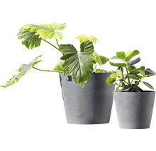 Blomkruka ECOPOTS Amsterdam Ø20x17,5cm grå
