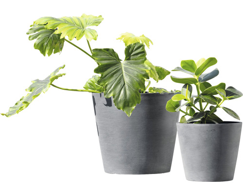 Två grå blomkrukor med krukväxter