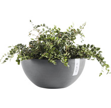Blomkruka ECOPOTS Brussels Ø30x14cm grå