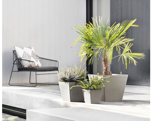 Uteplats med fåtölj och tre planterade, kvadratiska betongplanteringskärl
