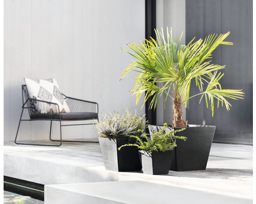 Terrassmiljö med stolar och växter i krukor