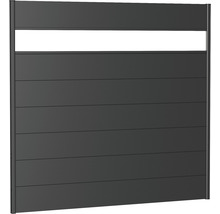 Skärmvägg BIOHORT aluminium med akrylglas 200x180cm mörkgrå-metallic