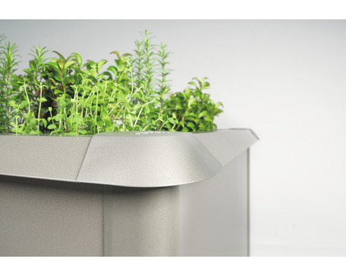 Hög rabatt med örter