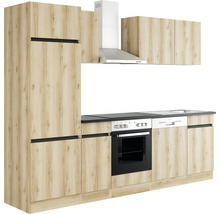 Köksmodul med inbyggda skåp, diskho, spis och fläkt