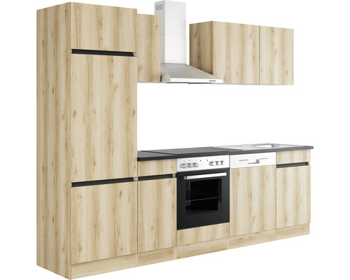 Köksmodul med inbyggda skåp, diskho, spis och fläkt