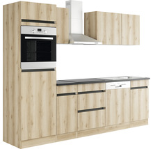 Köksdel med inbyggd ugn, köksfläkt, diskho och diskmaskin