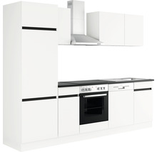 Köksdel med högskåp, fläkt, diskho och inbyggnadsapparater